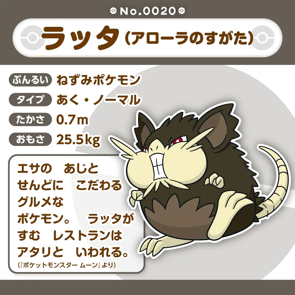Pokemon Center Japan Alolan Raticate Fit Plush - Image 4