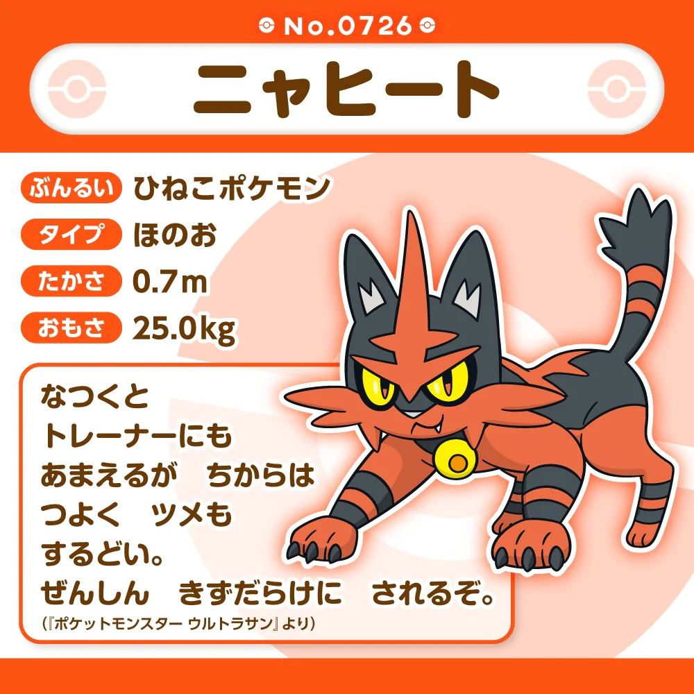 Pokemon Center Japan Torracat Fit Plush - Image 4