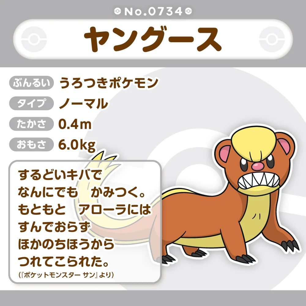 Pokemon Center Japan Yungoos Fit Plush - Image 4